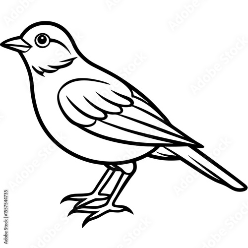 Lark line art vector