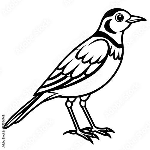 Lark line art vector
