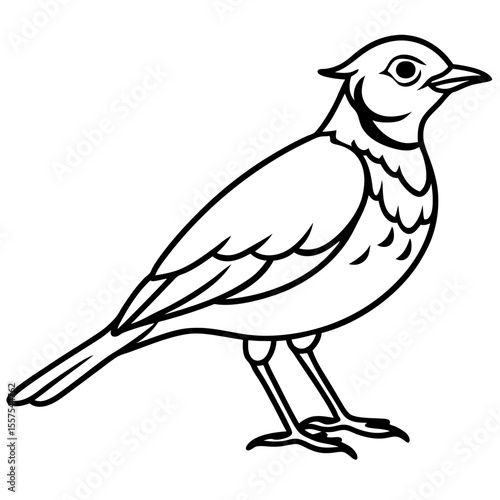 Lark line art vector