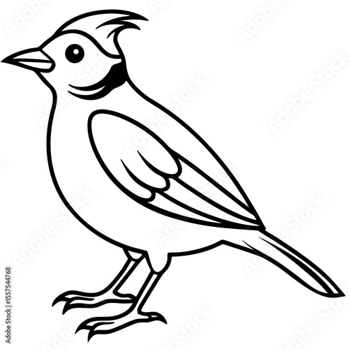Lark line art vector