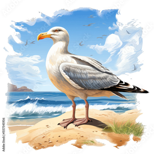 seagull on the beach