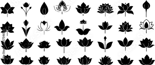 Water Lily Silhouette Vector Set, Water Lily Outline Vector Art, Water Lily Flower Silhouette Collection, Set of Water Lily Vector Illustrations, Botanical Water Lily Silhouette Set, Minimalist Water 