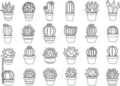 Cactus and Succulent Line Art Icon Set