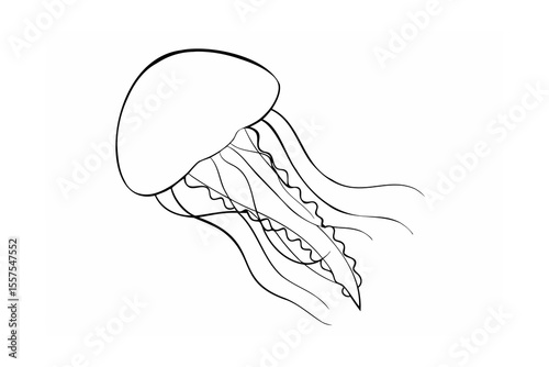 Simple and elegant black and white outline illustration of a graceful jellyfish
