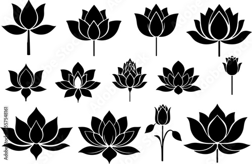 Water Lily Silhouette Vector Set, Water Lily Outline Vector Art, Water Lily Flower Silhouette Collection, Set of Water Lily Vector Illustrations, Botanical Water Lily Silhouette Set, Minimalist Water 