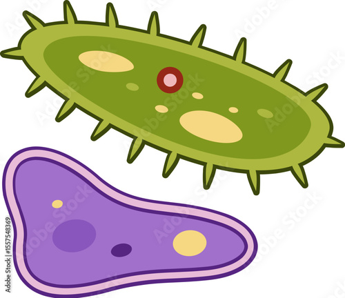 Ciliates Protozoa Microorganism Illustration – Microscopic Biology Clipart

