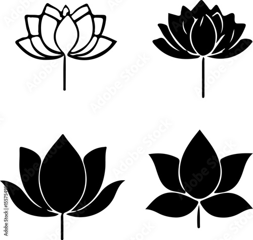 Water Lily Silhouette Vector Set, Water Lily Outline Vector Art, Water Lily Flower Silhouette Collection, Set of Water Lily Vector Illustrations, Botanical Water Lily Silhouette Set, Minimalist Water 