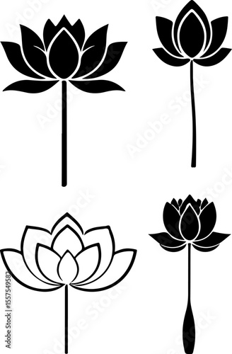 Water Lily Silhouette Vector Set, Water Lily Outline Vector Art, Water Lily Flower Silhouette Collection, Set of Water Lily Vector Illustrations, Botanical Water Lily Silhouette Set, Minimalist Water 