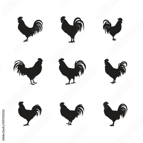A vector set of chicken and rooster silhouettes, featuring various farm birds and poultry illustrations on a white background