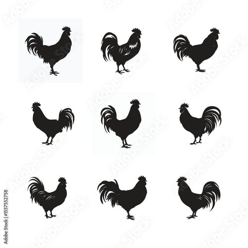 Farm animal vector icons: A set of chicken, rooster, and hen silhouettes illustrating poultry birds