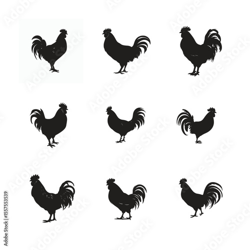A collection of rooster and chicken silhouettes in vector format, ideal for farm animal illustrations featuring poultry birds