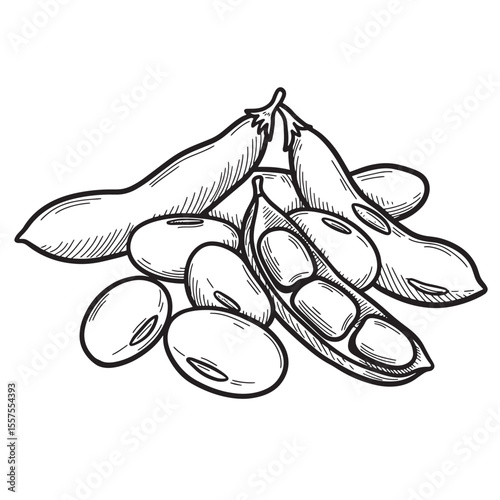 A detailed vintage art silhouette of soybeans and edamame pods illustrating botanical study of beans in monochrome.