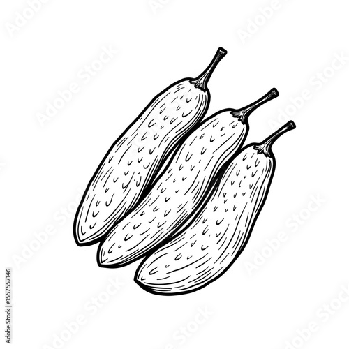 Line art of puffed millet snacks in black and white, food illustration clarity