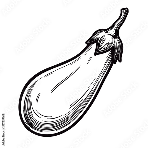 Eggplant line art illustration with bold outlines, culinary precision design