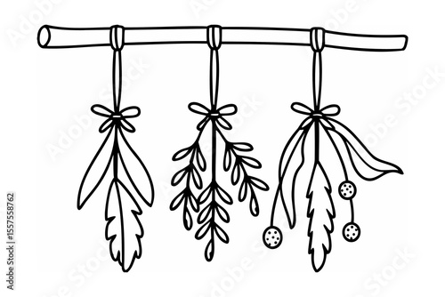 Hand drawn illustration of hanging mistletoe, botanical decor for christmas and holiday season.