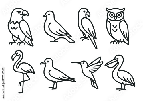 Wild bird icons set – outline, simple birdwatching and avian design symbols