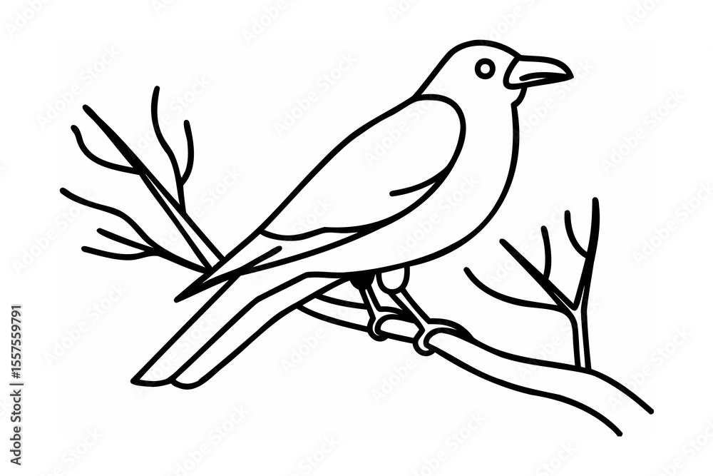 A minimalist black and white line art illustration of a raven perched on a branch A minimalist black and white line art illustration of a raven perched on a branch