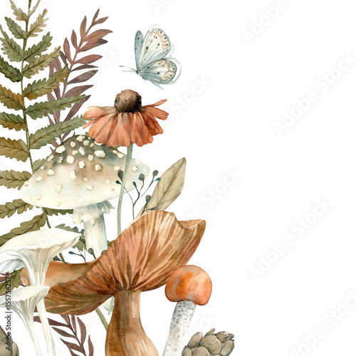 Autumn frame with forest plants. Isolated on white background border with mushrooms, fern, red leaves, butterfly, bump and branches. Hand drawn with watercolor. Template for postcards 