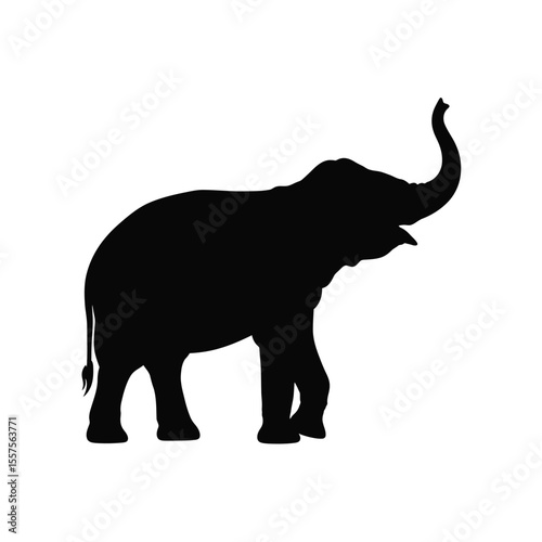 elephant silhouette isolated on white