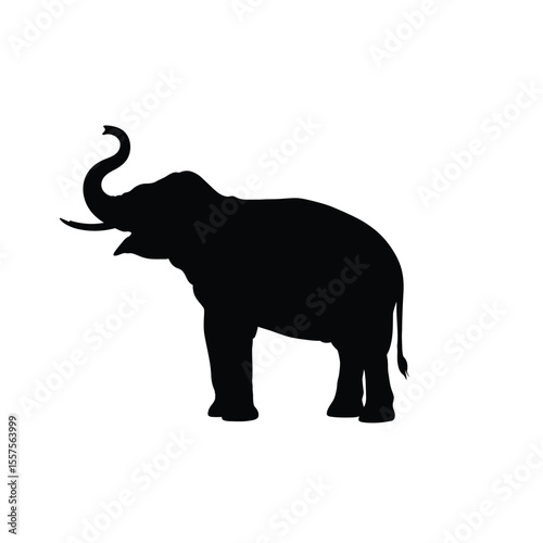 elephant silhouette isolated on white