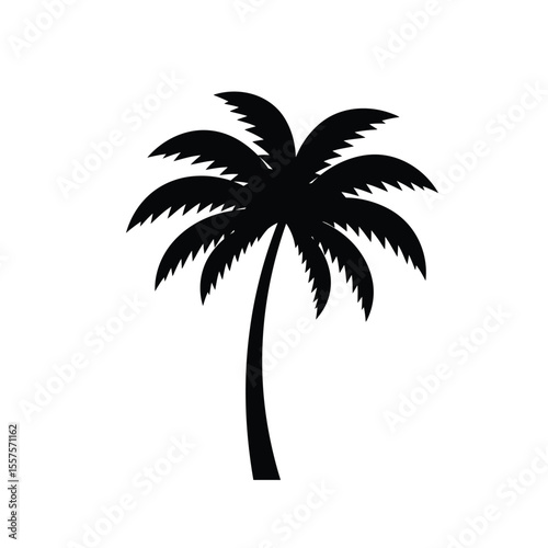 silhouette of palm trees