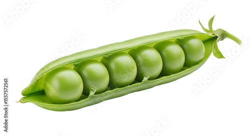 Fresh green pea pod with six round peas isolated on transparent background