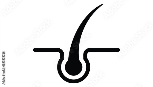Hair Follicle Vector Illustration – Detailed Anatomy of Human Hair Growth