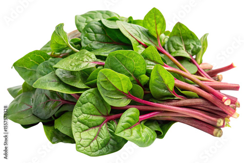 malabar spinach vegetables