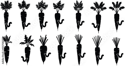 Carrots with Wireworm Pests Silhouettes: Illustrating Agricultural Damage, Garden Problems, Crop Infestation, and Organic Farming Challenges.
