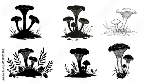 Set of forest mushrooms with roots and grass black and sketch style for eco design