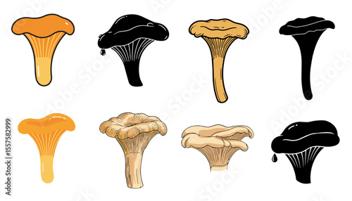 Set of forest mushrooms in different styles black and colorful for eco food design