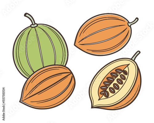 Assorted melons and melon slices isolated on white background.