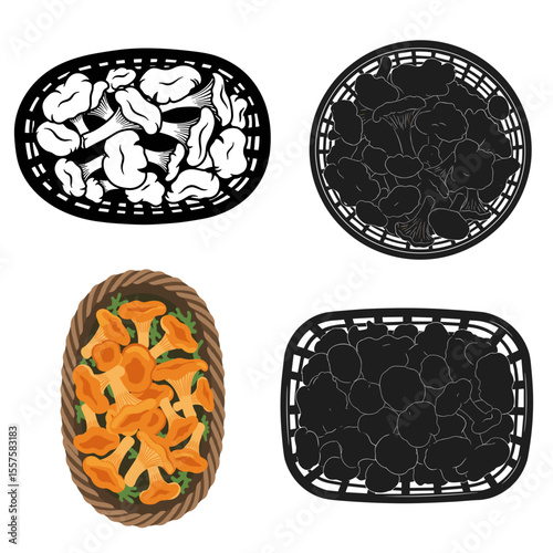 Set of mushrooms in baskets black and colorful for organic food design