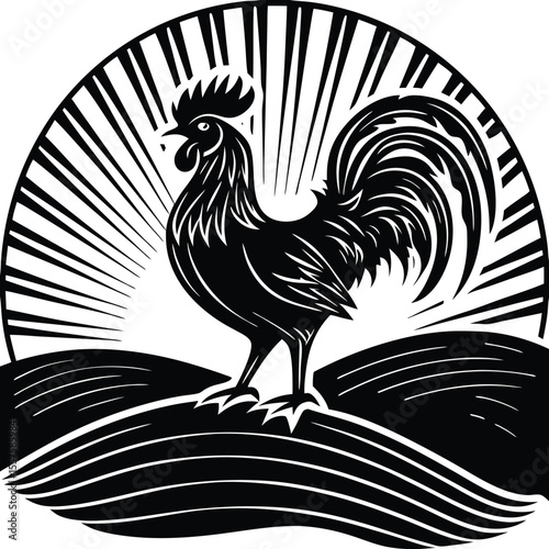 Rooster Sunrise Silhouette Vector ,rooster isolated on white, beak, red, black, natural, early, day break