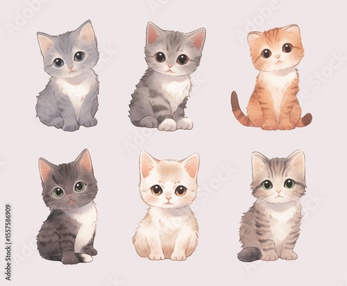 cute kitten