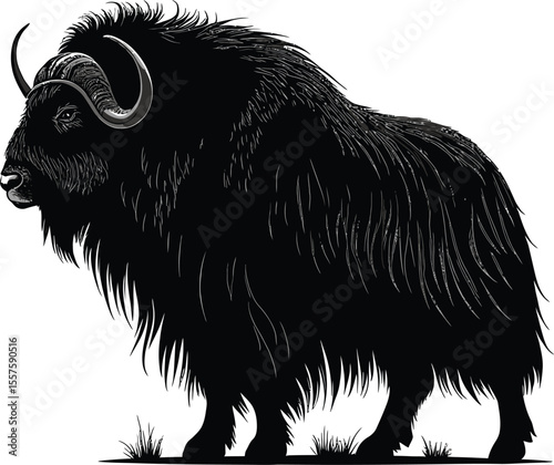 Wild animals: hand-drawn vector sketch illustration of an isolated European bison and a wild boar on a white background