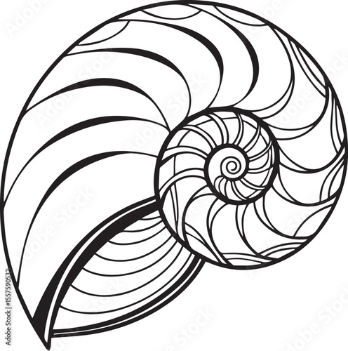 Black and White Seashell Illustration – Detailed Hand-Drawn Style Silhouette of a Spiral Seashell with Balanced Geometry – Isolated on White Background for Ocean Nature and Art Projects