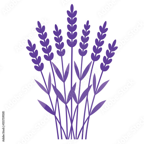 Elegant lavender plant silhouette bundle for floral designs