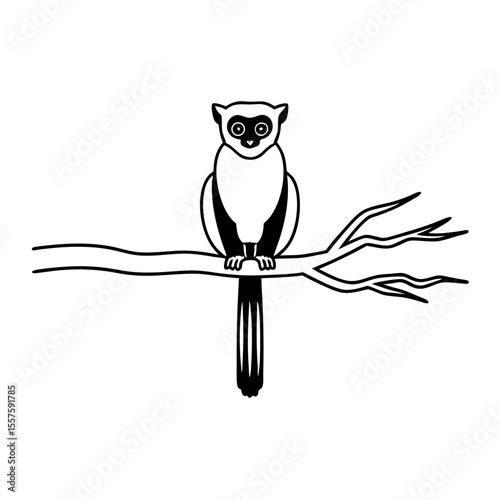 Silhouette of a lemur perched on a tree branch