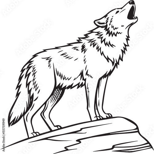 Full Body Vector Illustration of a Wolf – Elegant Wild Animal Design with Transparent Background for Nature, Zoology, and Graphic Design Projects


