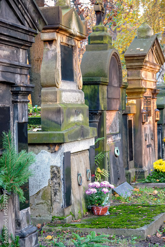 Historic Cemetery Tombstones with Green Moss and Seasonal Flowers