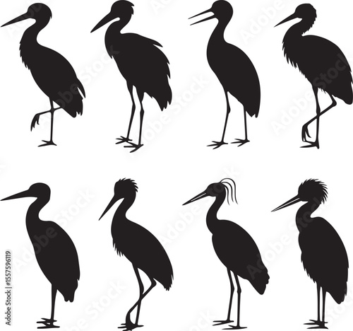 Collection of eight different heron bird silhouettes standing in various poses silhouette