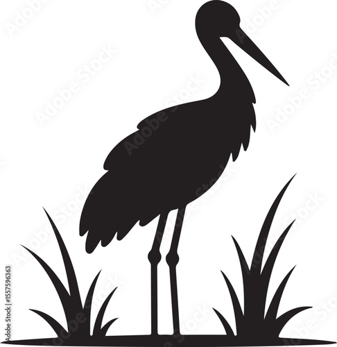 Elegant stork standing in grass silhouette on a white background
