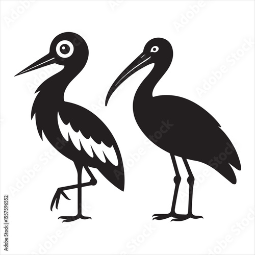 Two stylized black ibis birds standing on white background silhouette