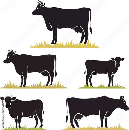 Set of farm animals including cow and calf silhouettes, vector illustrations of cattle, and other livestock icons