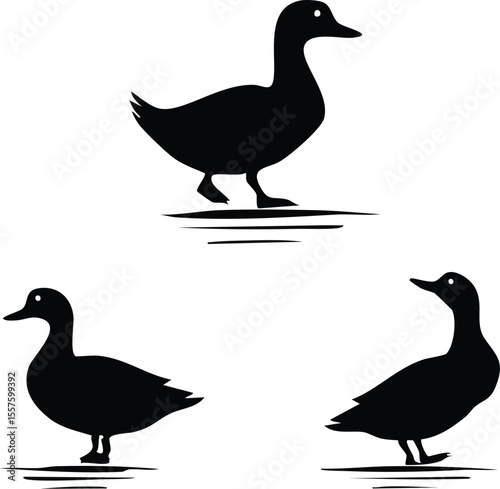 Elegant Duck Silhouettes A Versatile Animals Silhouette Set for Design Projects