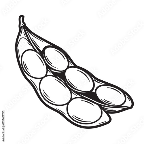 Artistic black and white vintage art silhouette of a detailed soy pod illustration showing seeds inside for graphic design.