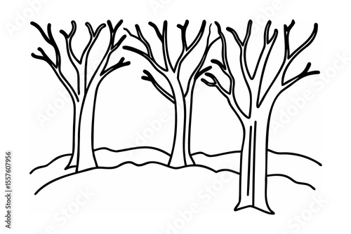 Bare trees on rolling hills branches winter