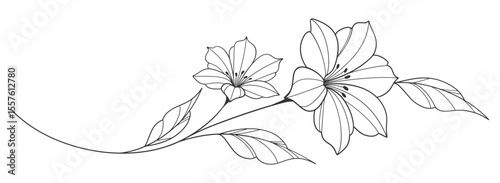 flower and leaves drawing. Vector hand drawn engraved floral card. Botanical, branch and flower Black ink sketch. Great for tattoo, invitations, greeting cards, decor