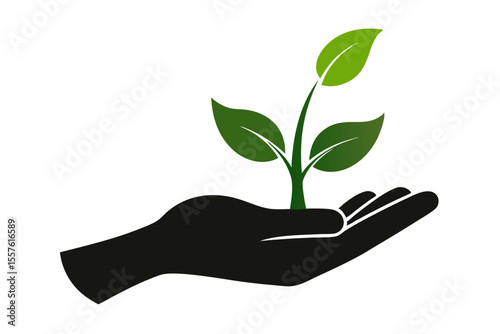 plant in hand